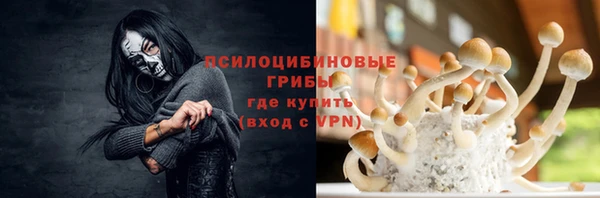 СК Дмитров