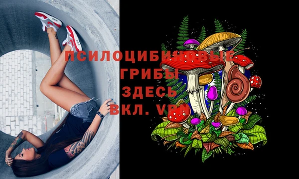 spice Вязьма