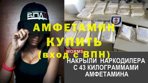 СК Дмитров