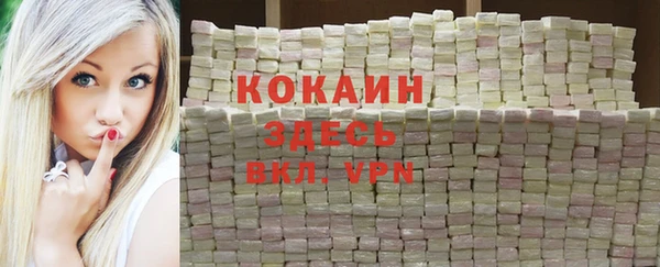 СК Дмитров
