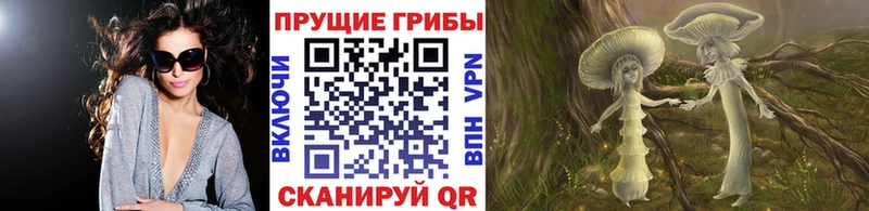 Галлюциногенные грибы Cubensis  наркота  Зарайск 